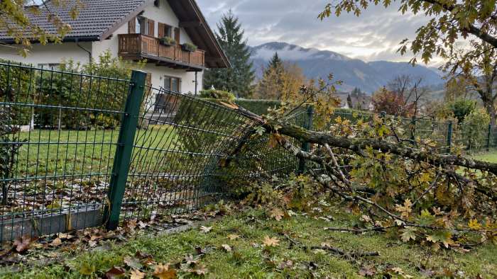 Sturmschaden am Zaun: Sofortmaßnahmen und Reparatur